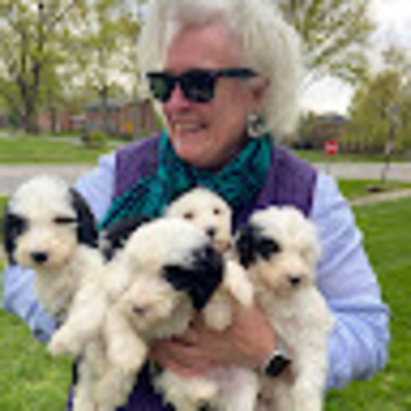 Meet your Posher, Denise m - Picture 1 of 1